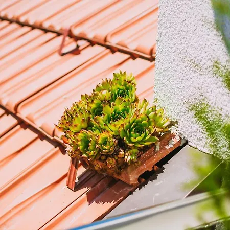 Markesic Ramsko Jezero